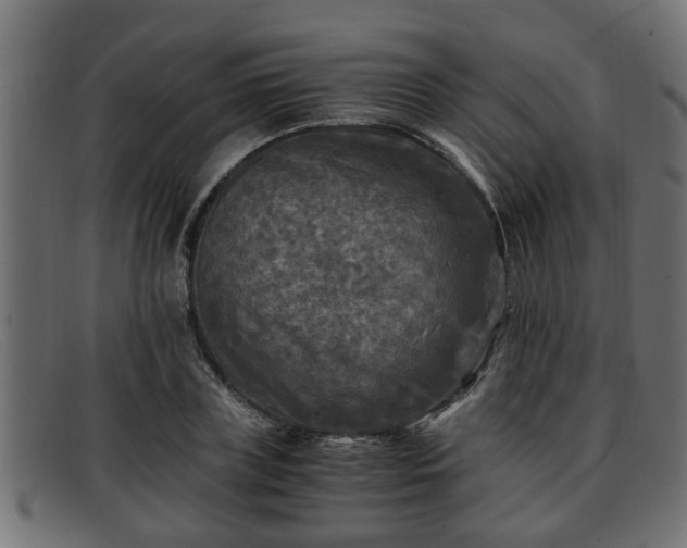 X0000091980835200709131410