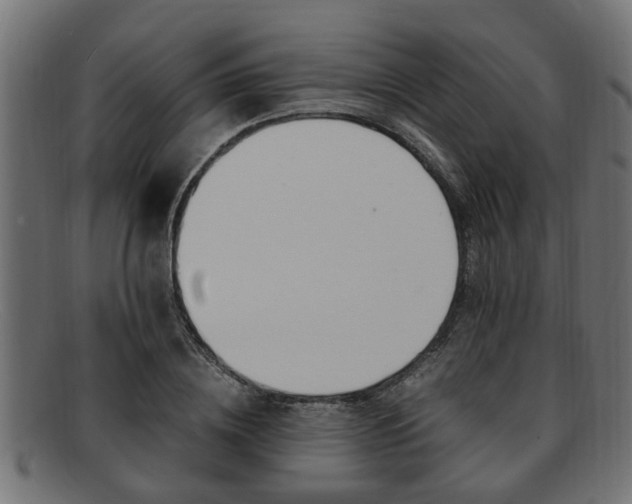 X0000091980836200709131410