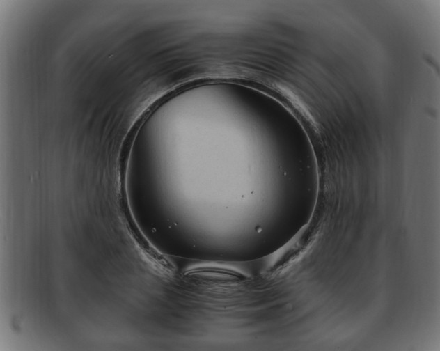 X0000091980837200709131410