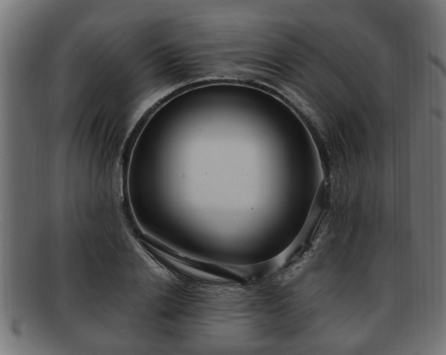 X0000091980838200709131410