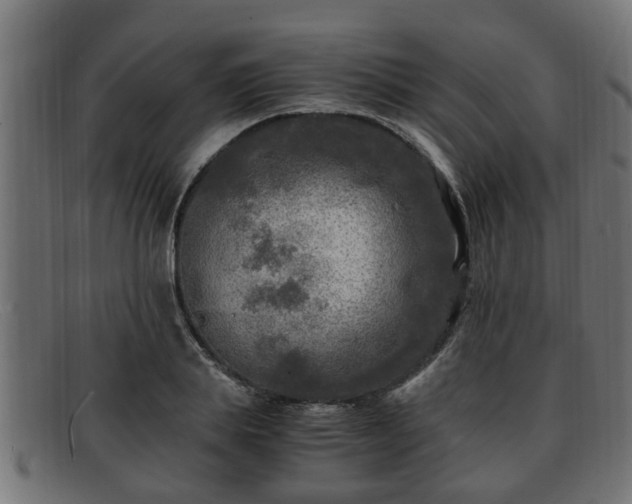 X0000091980839200709131410