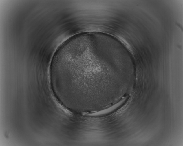 X0000091980840200709131410