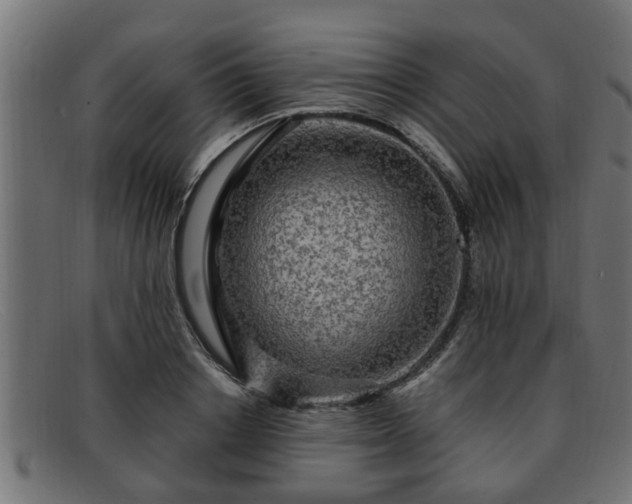 X0000091980842200709131410