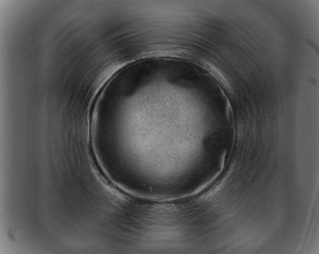 X0000091980844200709131410