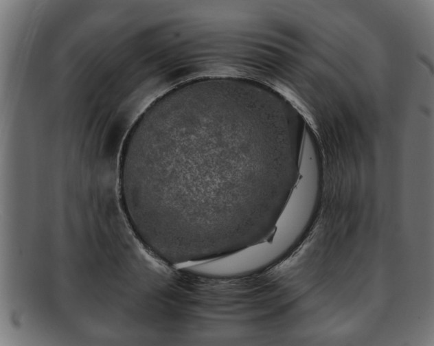 X0000091980845200709131410