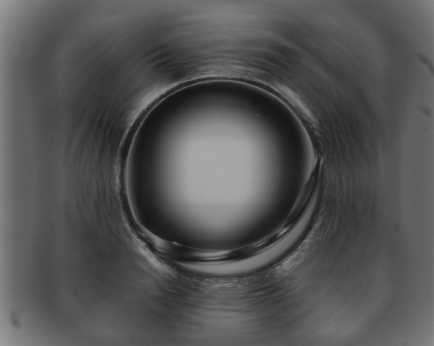 X0000091980846200709131410