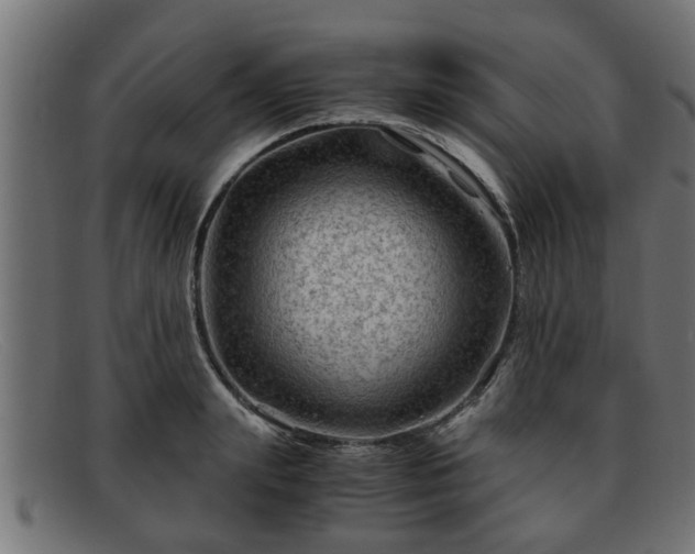 X0000091980847200709131410