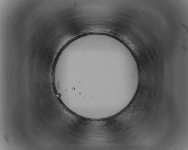 X0000091980848200709131410