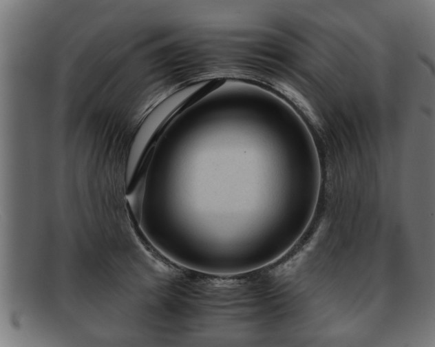 X0000091980849200709131410