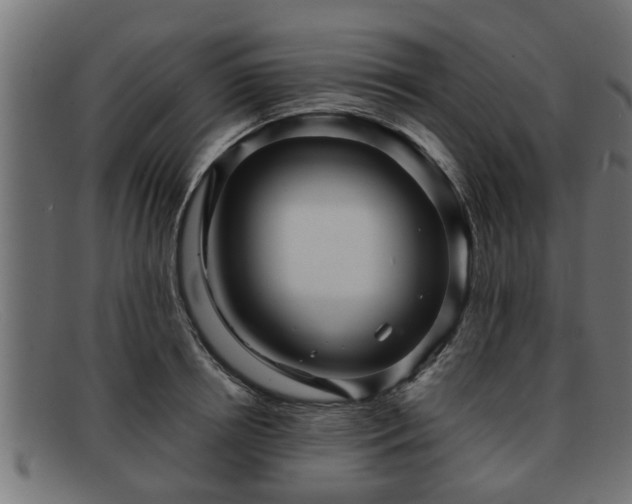 X0000091980850200709131410