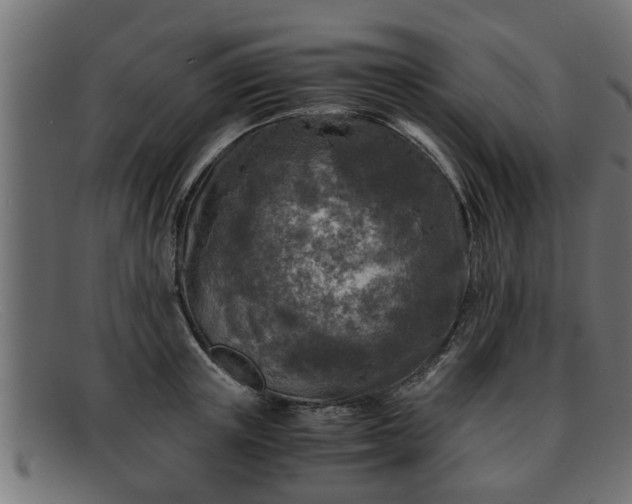 X0000091980851200709131410