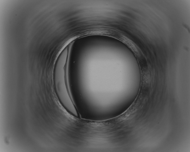 X0000091980852200709131410