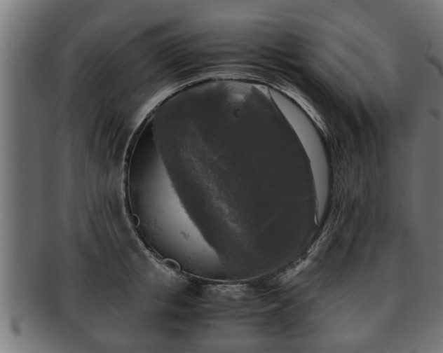 X0000091980853200709131410