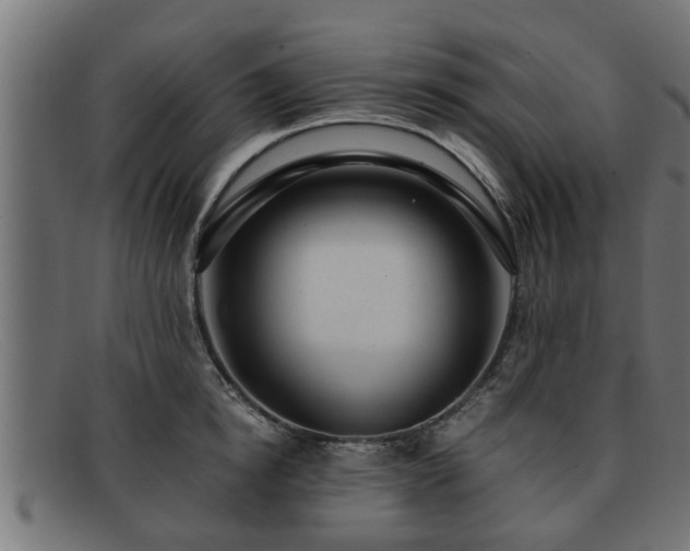 X0000091980854200709131410