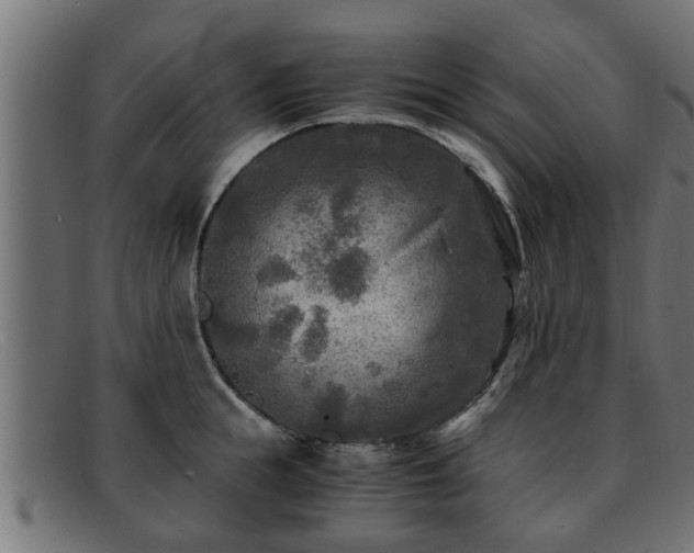 X0000091980855200709131410