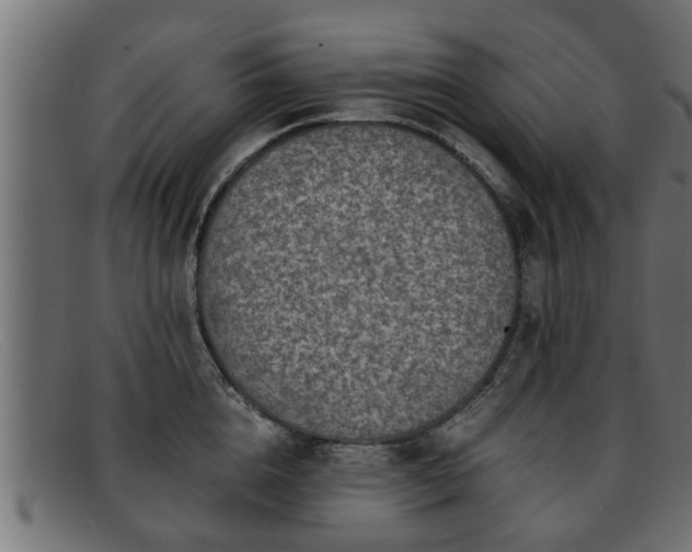 X0000091980856200709131410