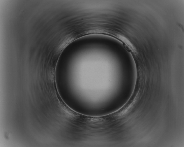 X0000091980857200709131410