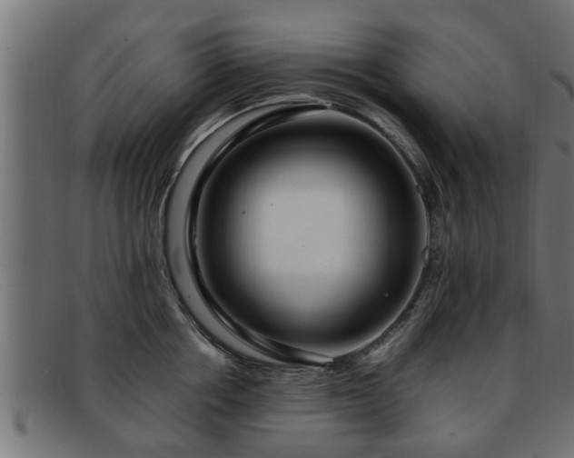 X0000091980858200709131410