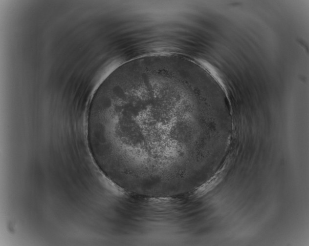 X0000091980859200709131410