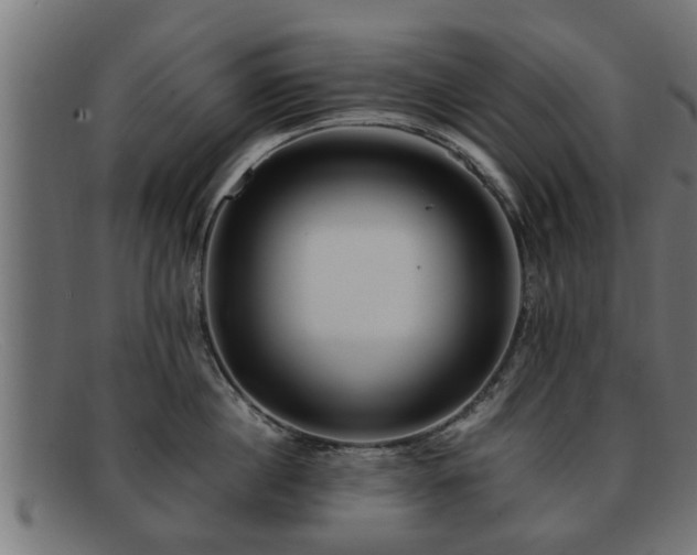 X0000091980860200709131410