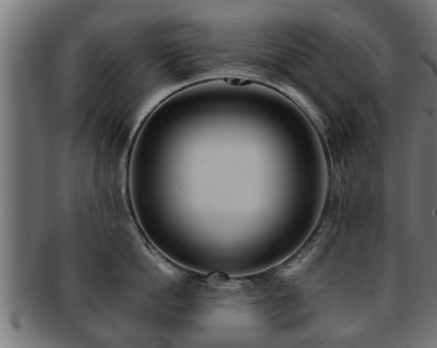 X0000091980862200709131410