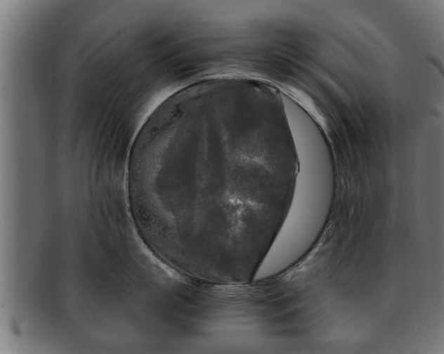 X0000091980863200709131410