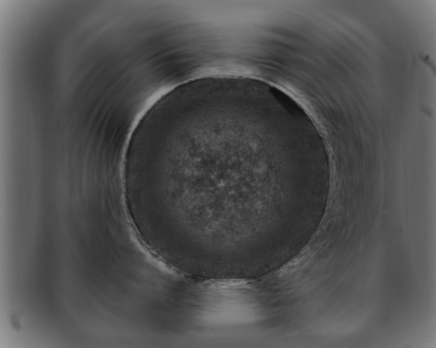 X0000091980864200709131411