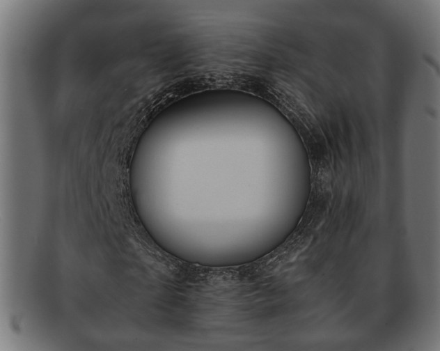 X0000091980865200709131410