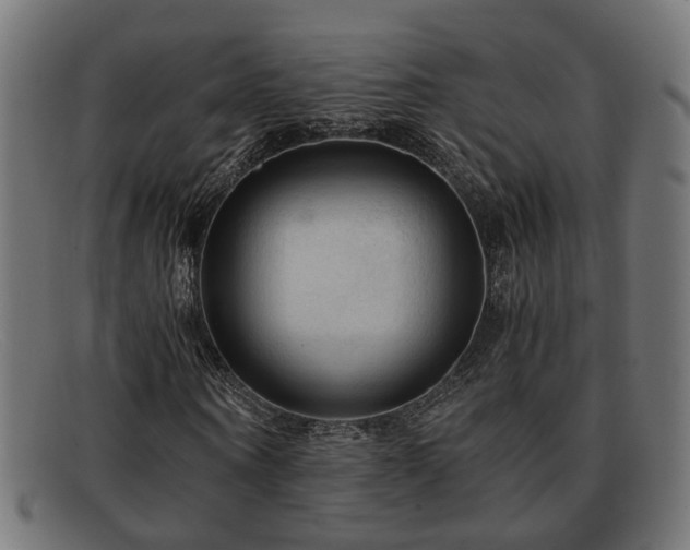 X0000091980866200709131410