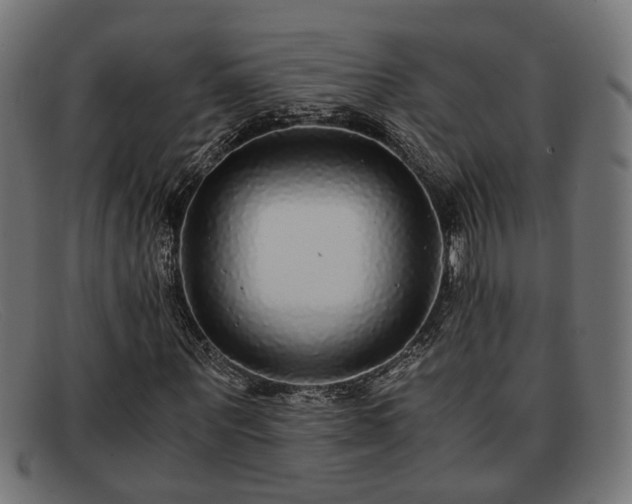 X0000091980867200709131410