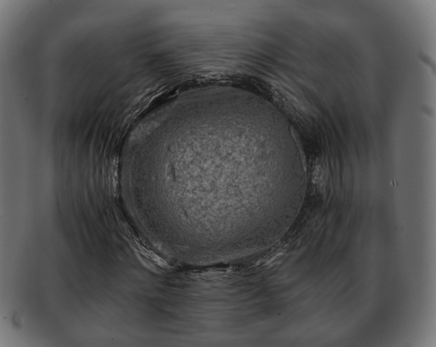 X0000091980868200709131410