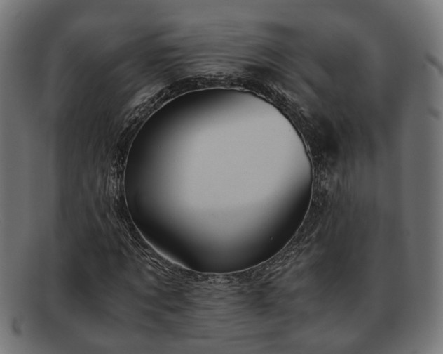 X0000091980869200709131410