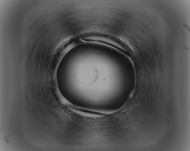 X0000091980872200709131410