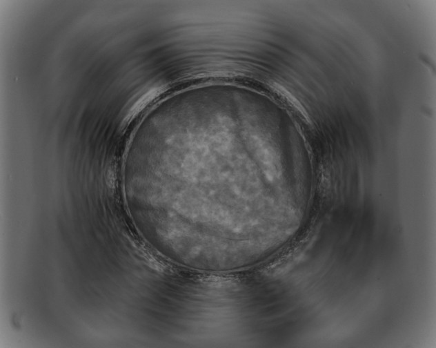 X0000091980874200709131410