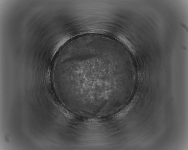 X0000091980875200709131410