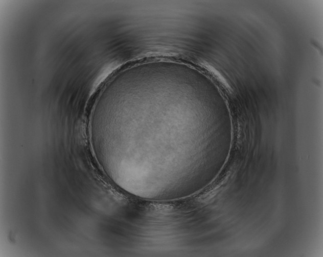 X0000091980878200709131410