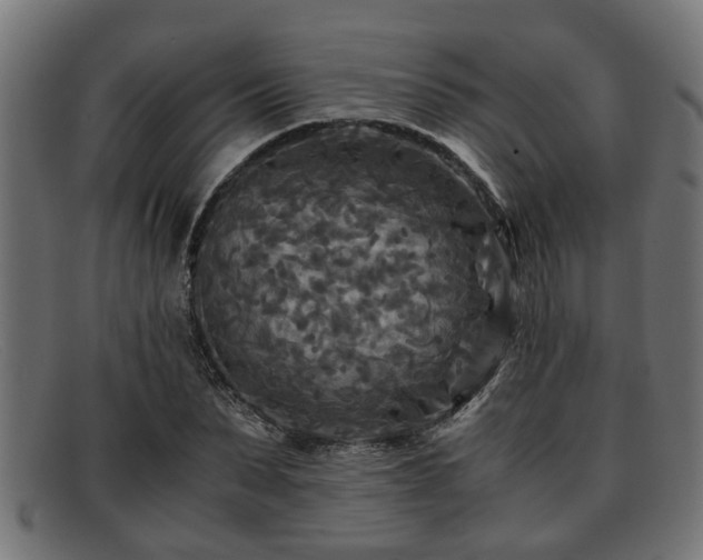 X0000091980879200709131410