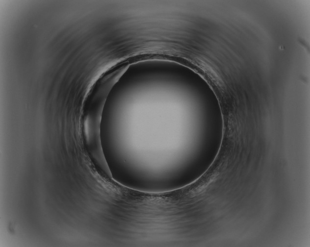 X0000091980880200709131410