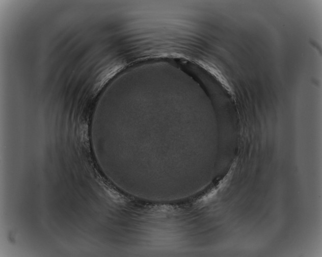 X0000091980881200709131410