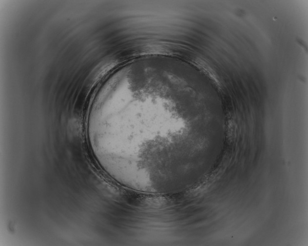 X0000091980882200709131410