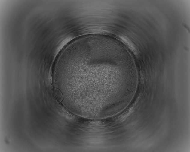 X0000091980883200709131410