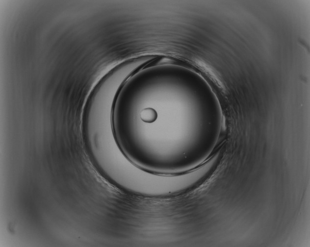 X0000091980884200709131410