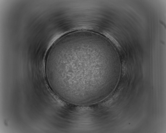 X0000091980886200709131410