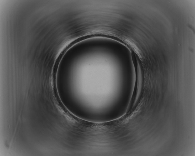 X0000091980888200709131410