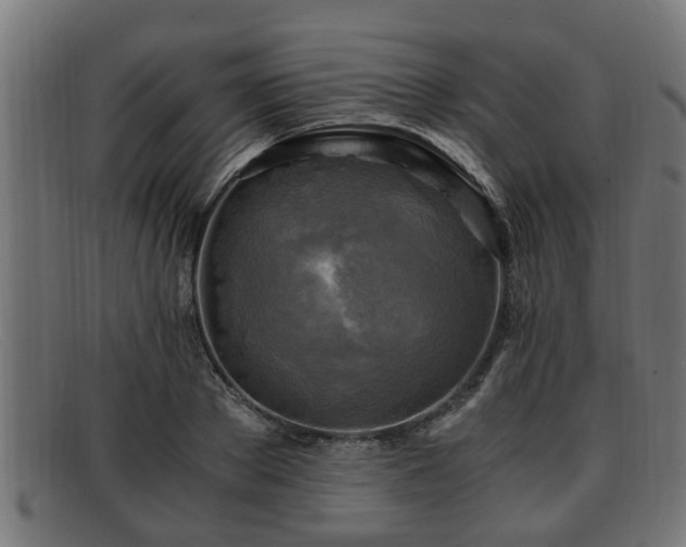 X0000091980889200709131410