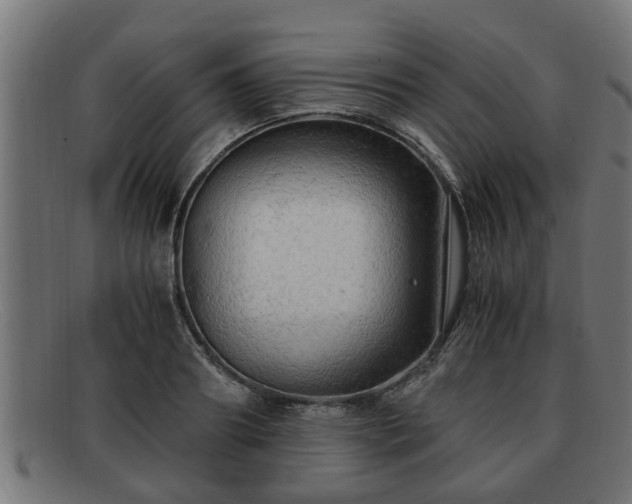 X0000091980890200709131410