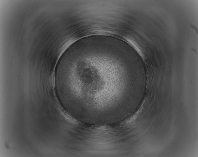 X0000091980891200709131410