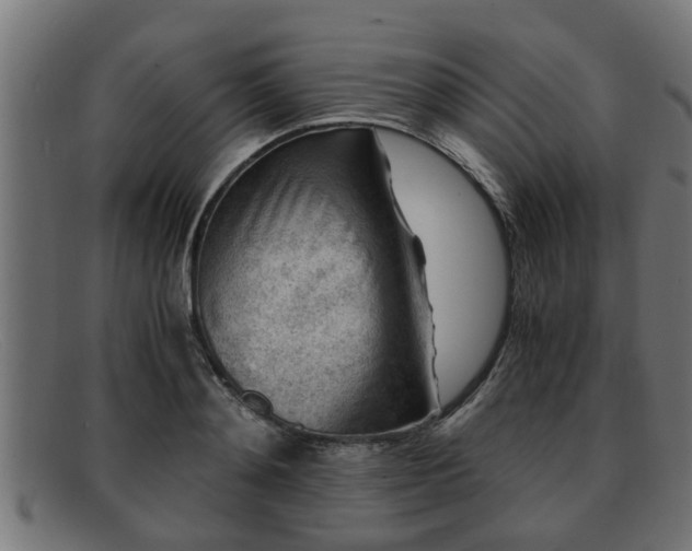 X0000091980892200709131410