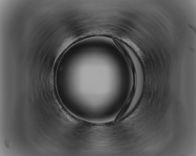 X0000091980894200709131410