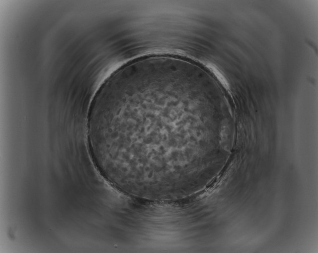 X0000091980895200709131410